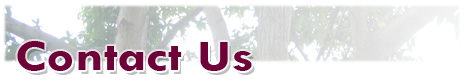 Contact Us